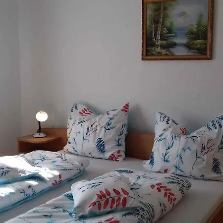 Apartman In Heviz/balaton 36758 *